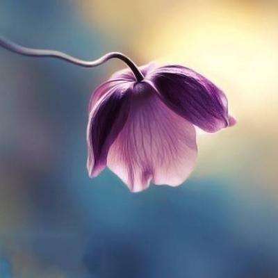 半岛·综合体育下载